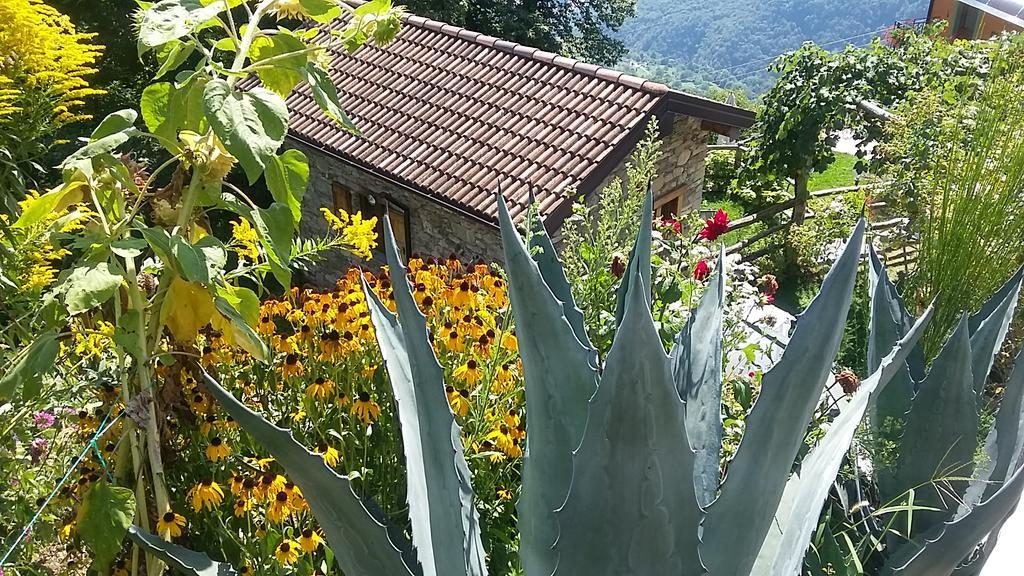 Agriturismo Zertin Gravedona Eksteriør billede