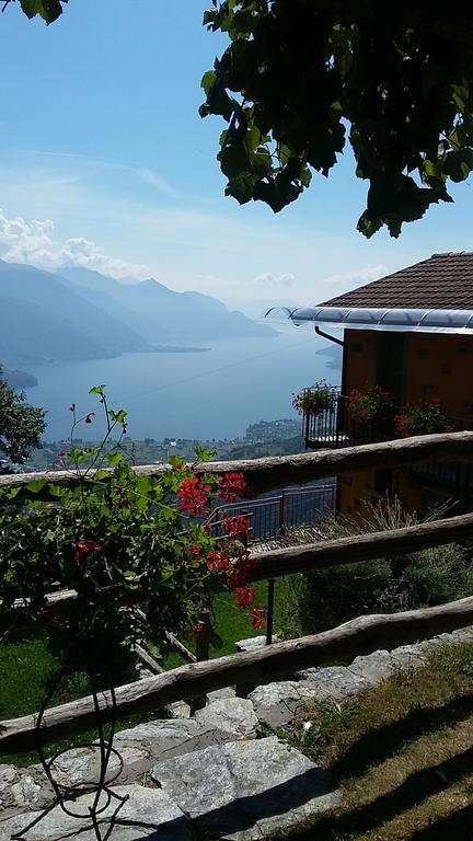 Agriturismo Zertin Gravedona Eksteriør billede